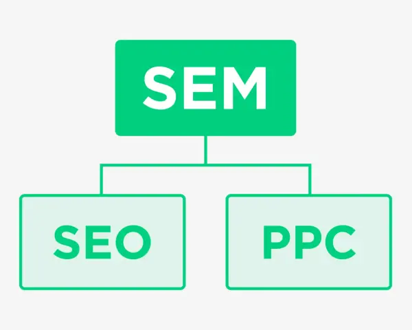 SEM: Co to? SEO, PPC i jak zdobyć klientów w Google?