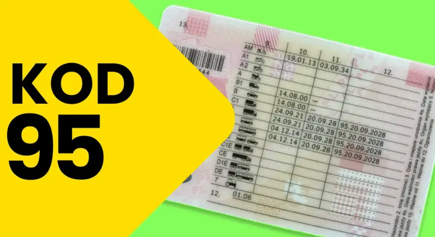 Świadectwo kwalifikacji zawodowej (Kod 95): Jak zdobyć i odnowić?
