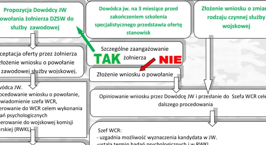 Jak zostać żołnierzem zawodowym? Przewodnik, zarobki, benefity.