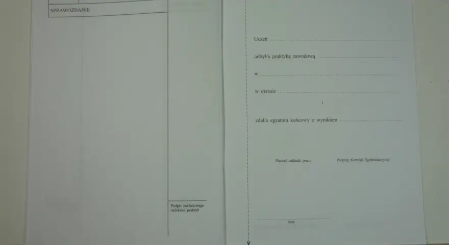 Formularz "Dziennik praktyki zawodowej jak wypełnić" zawiera sekcje na dane ucznia, przebieg praktyki i egzamin.