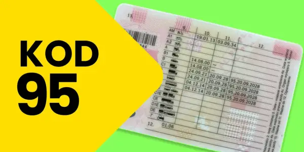Świadectwo kwalifikacji zawodowej (Kod 95): Jak zdobyć i odnowić?